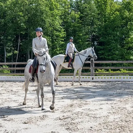 ホテル Posestvo Pule Equestrian Estate