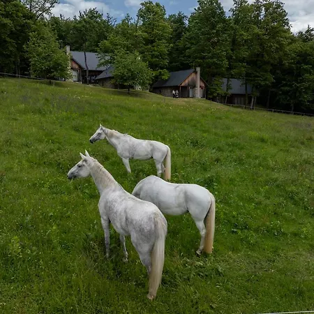 Posestvo Pule Equestrian Estate Trebelno
