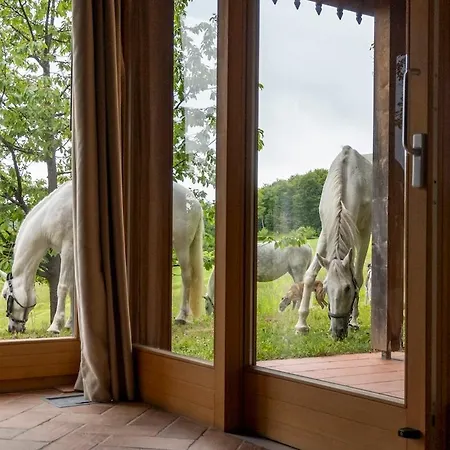 Posestvo Pule Equestrian Estate מלון Trebelno