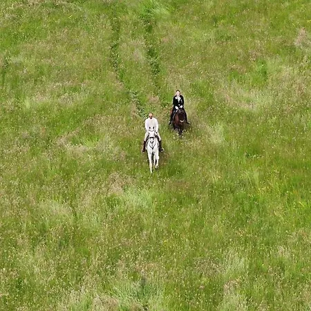 Hotel Posestvo Pule Equestrian Estate Trebelno