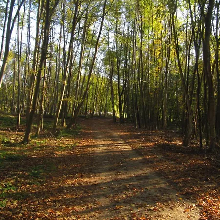 Posestvo Pule Equestrian Estate Trebelno