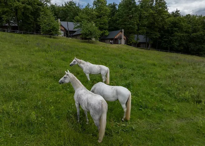 Posestvo Pule Equestrian Estate Trebelno