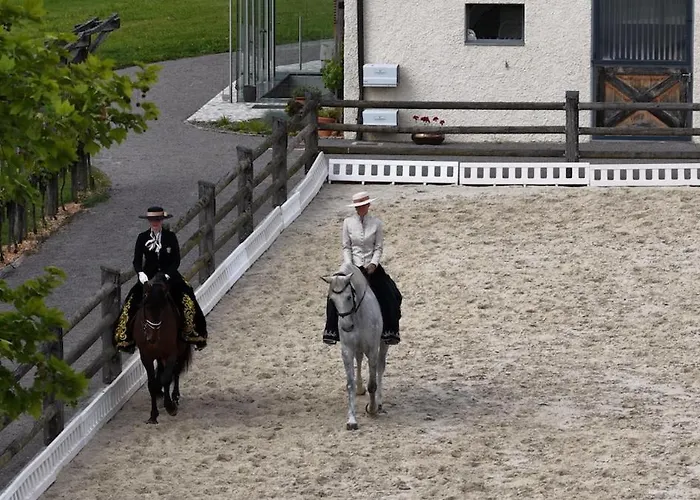 Hotel Posestvo Pule Equestrian Estate Trebelno