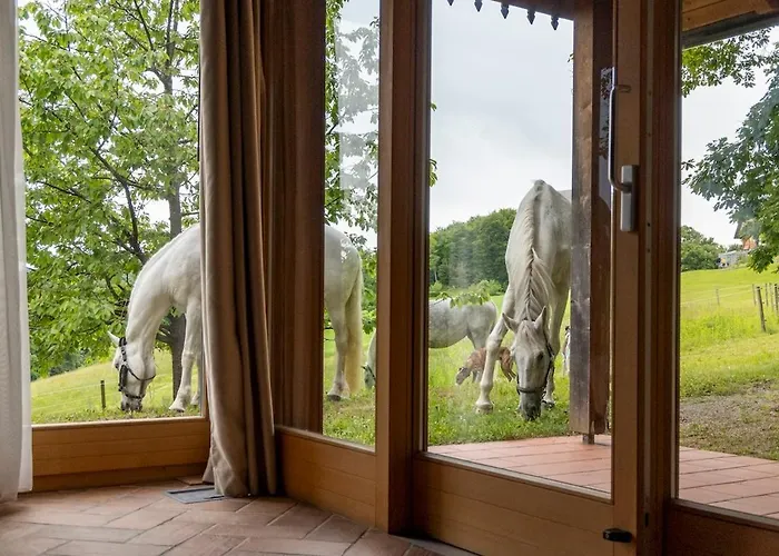 Posestvo Pule Equestrian Estate Hotel Trebelno