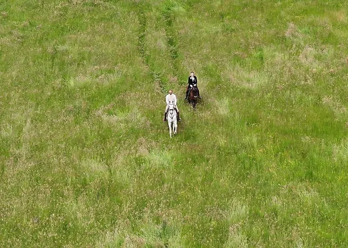 Hotel Posestvo Pule Equestrian Estate Trebelno