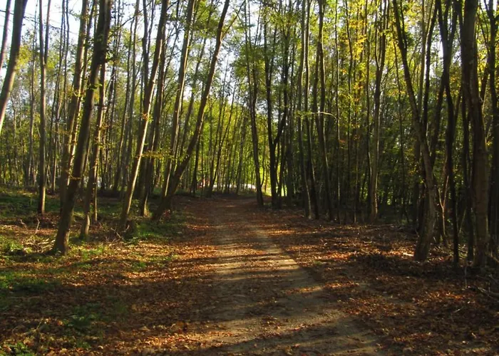 Posestvo Pule Equestrian Estate Trebelno